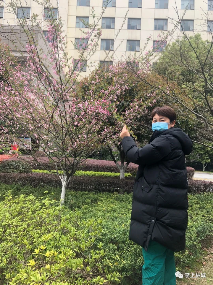1584760139204567.png 微信图片_20200321110720.png