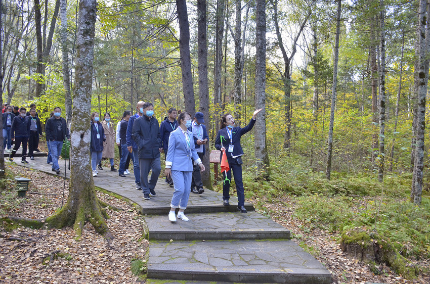 downLoad-20200918083630.jpg